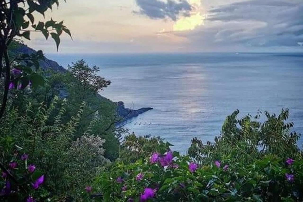 Rosablu Vacanza Tra Mare E Parco Di Portofino Camogli Extérieur photo