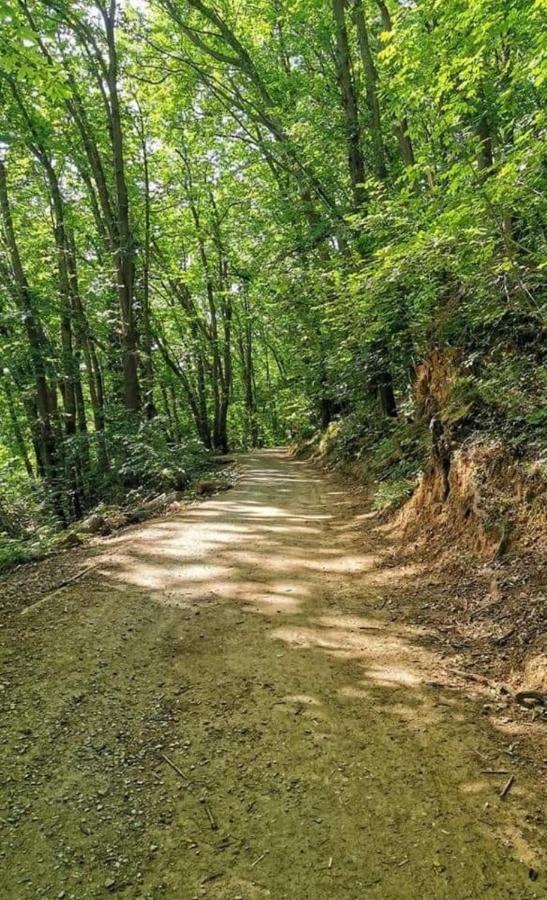 Rosablu Vacanza Tra Mare E Parco Di Portofino Camogli Extérieur photo