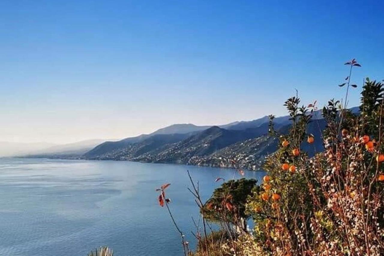 Rosablu Vacanza Tra Mare E Parco Di Portofino Camogli Extérieur photo