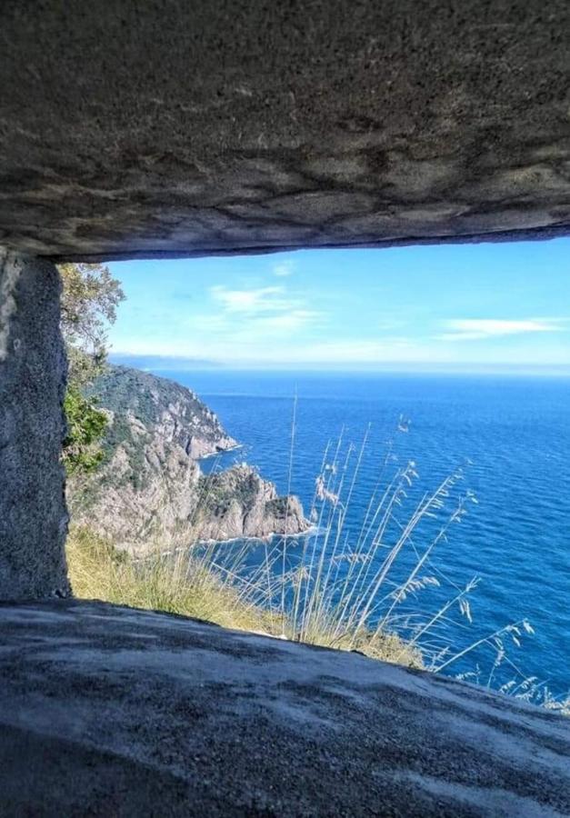Rosablu Vacanza Tra Mare E Parco Di Portofino Camogli Extérieur photo