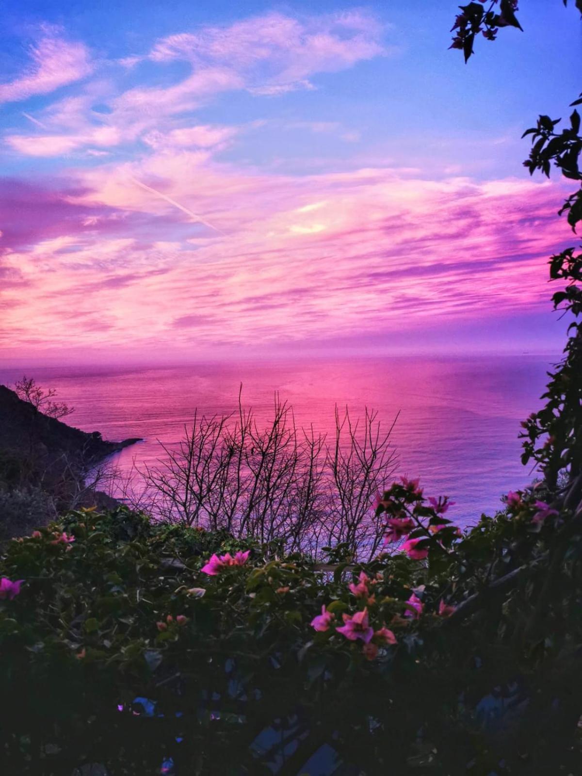 Rosablu Vacanza Tra Mare E Parco Di Portofino Camogli Extérieur photo